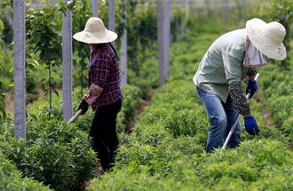 7月30日，河南省中藥材生產(chǎn)工作暨產(chǎn)業(yè)扶貧現(xiàn)場會在南陽市南召縣成功召開